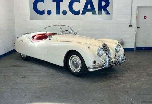 Jaguar 140 Roodster OTS - LHD