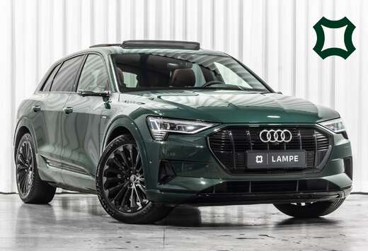 Audi 55 Quattro Competition Goodwood Green Luchtverin ...