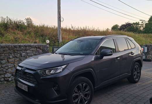 Toyota RAV4 Hybrid HEV 2.5i i-AWD Dynamic Plus (Li-io ...