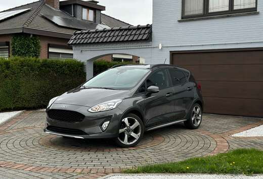 Ford Fiesta Active/2019/1.0 Ecoboost/Magnetic Gray