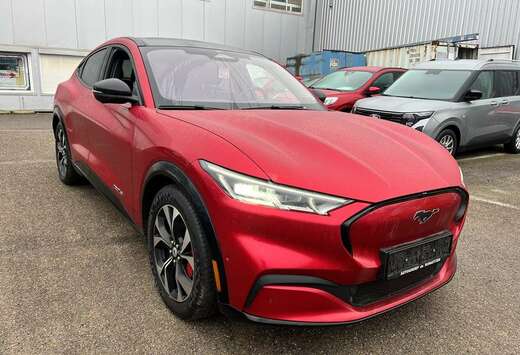 Ford 99kWh AWD / Leder / pano dak