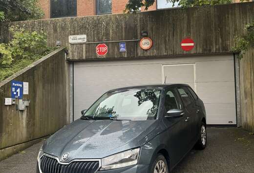 Skoda SW 1.0 TSI Ambition