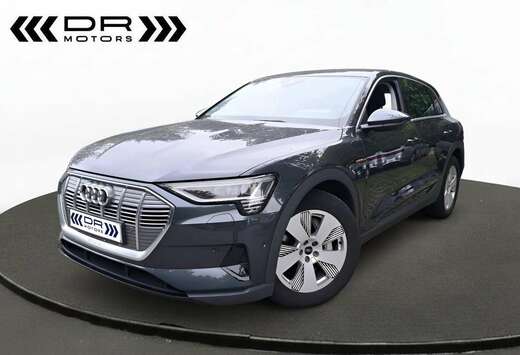 Audi 55 Quattro Attractive - LEDER - TREKHAAK