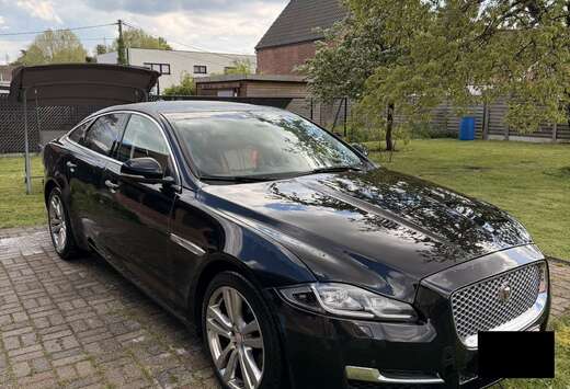 Jaguar Luxury