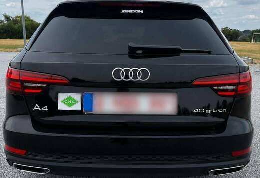 Audi A4 Avant CNG 40 TFSI g-tron S tronic (EU6d-TEMP)
