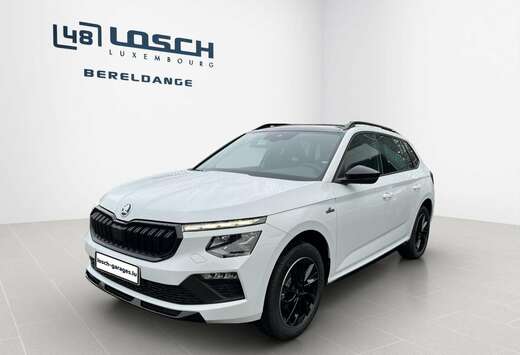 Skoda Monte Carlo
