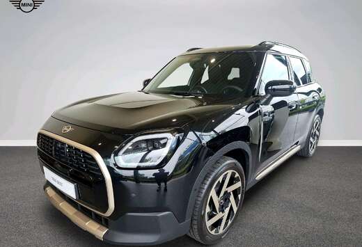 MINI Favoured Trim