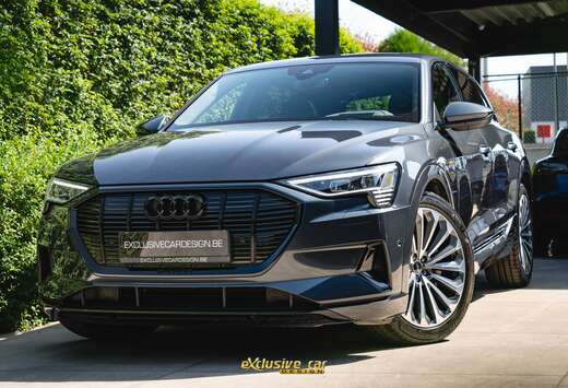Audi 55 Quattro S line 95 kWh /21\'\'/Panodak/B&O/Mat ...