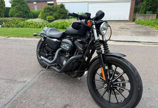 Sporster