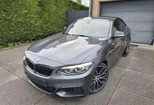 BMW COUPE / M PACK / CAMERA / XENON / SHADOW LINE