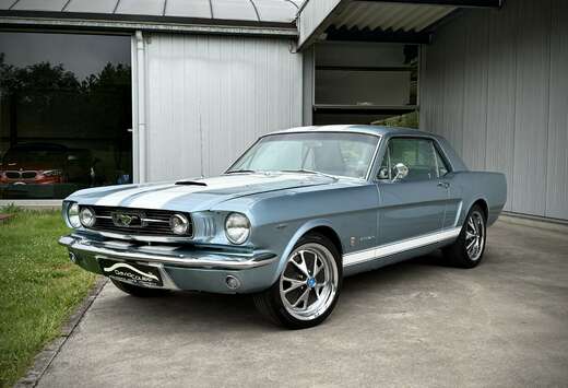 Ford 4.7 - 225ch, Pony Interior