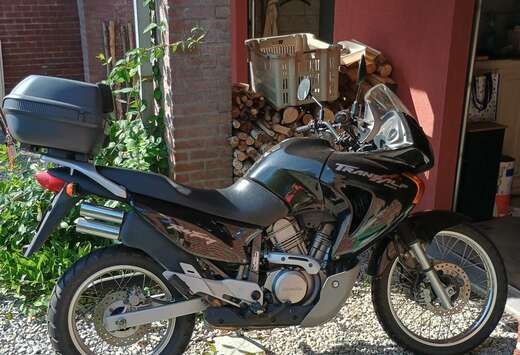 Honda transalp650