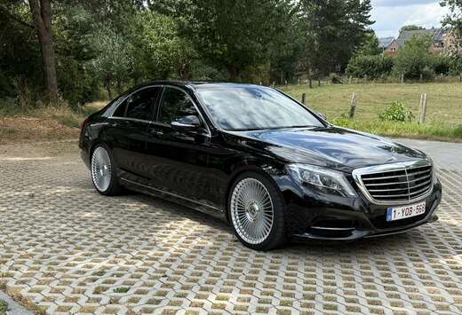 Mercedes-Benz d