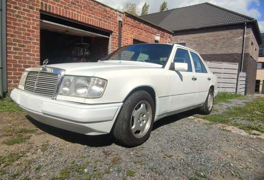 Mercedes-Benz E300 D Oldtimer prêt à immatriculer