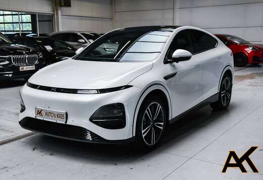 G6 87.5 kWh AWD Perfomance - NAVIGATIE / TREKHAAK / C ...