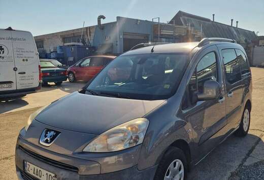 Peugeot Tepee 1.6 HDi Confort FAP