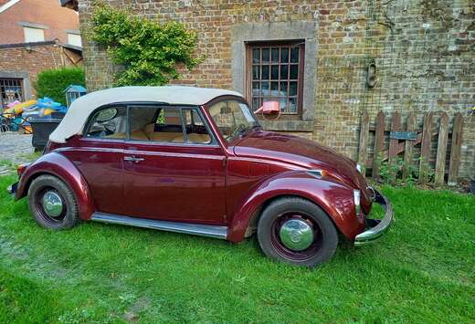 Volkswagen 1300