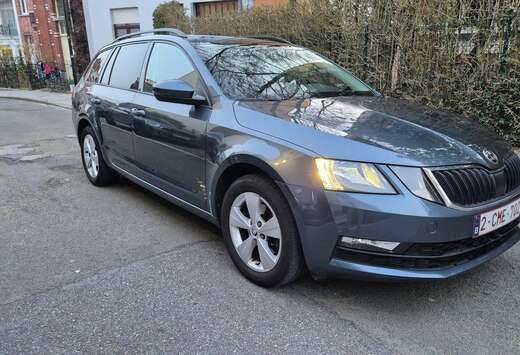 Skoda SW 1.0 TSI Ambition DSG (EU6.2)