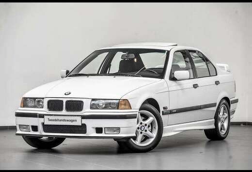 BMW is Class II Procar - Limited E