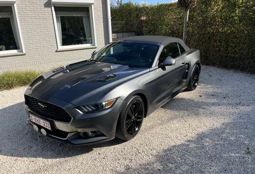 Ford Cabrio 2.3 Eco Boost