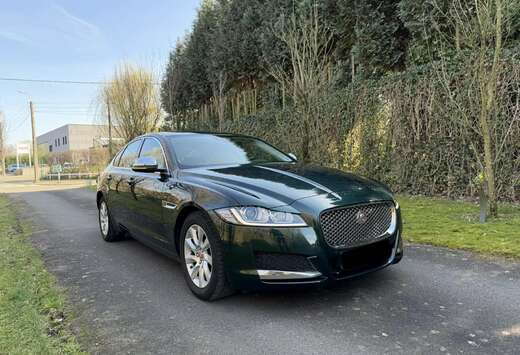 Jaguar Jaguar XF prêt à immatriculée