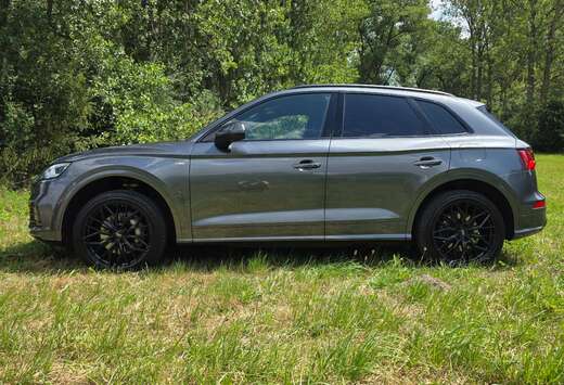 Audi 50 TFSi e Quattro S tronic + winterbanden met ve ...