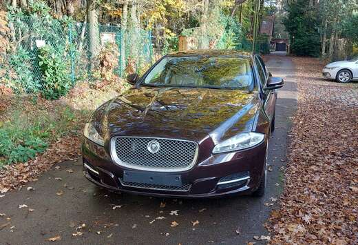 Jaguar XJ 3.0 V6 Diesel S Langversion Portfolio