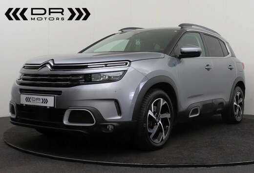 Citroen HYBRID - LEDER - ADAPTIVE CRUISE - KEYLESS -  ...