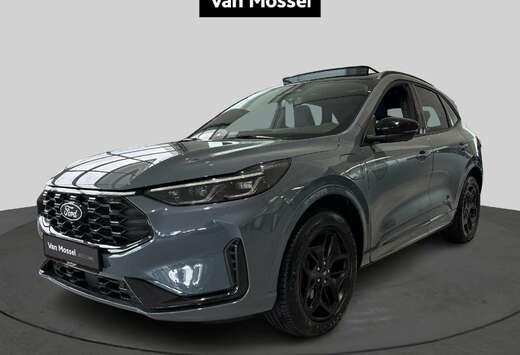 Ford Bluecruise Edition - Winter Pack - Pano dak