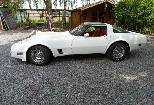 Corvette targa