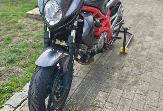 Suzuki Trophy