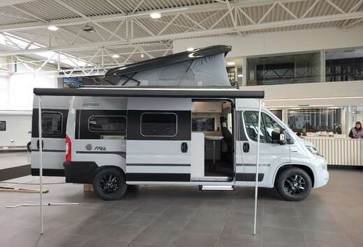 Fiat hymer free 600