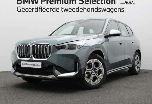 BMW xDrive30  X-Line