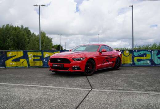 Ford 2.3 EcoBoost | Unieke Uitvoering! | Race Red | 2 ...
