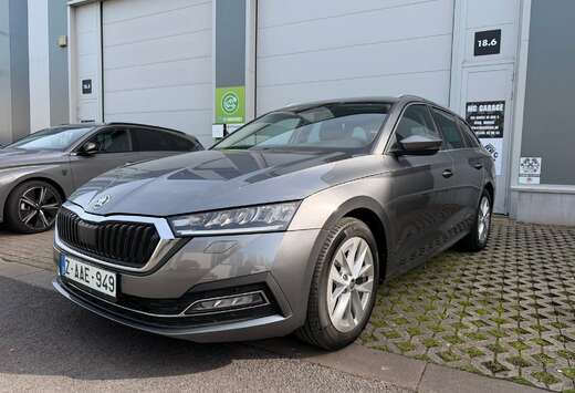 Skoda eTec  Clever  APP  Trekhaak  230V  Camera