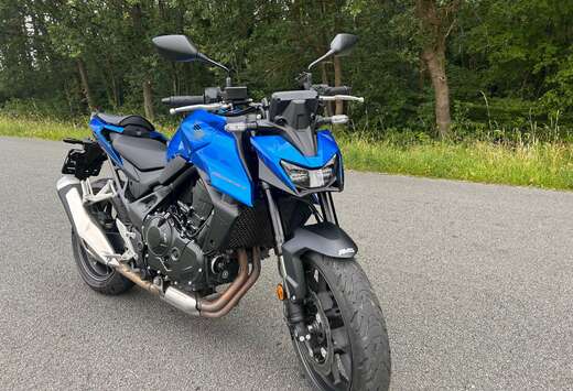 Honda Hornet