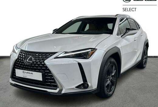 Lexus Business Line 199pk/4Season Tyres