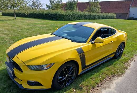 Ford Mustang 2.3 Eco Boost