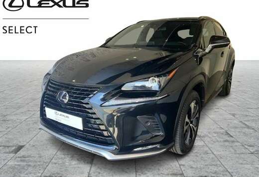 Lexus Black Line