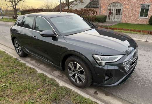 Audi Q8 e-tron 55 quattroadvanced