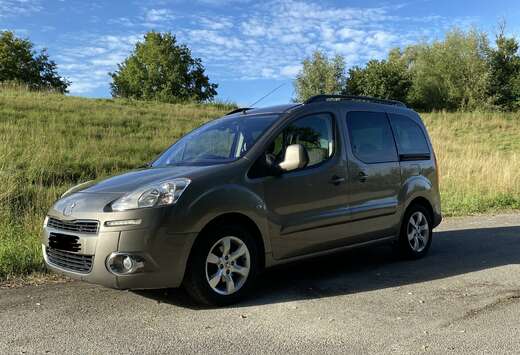 Peugeot 1.6i 16v Ranch 88kW (120 Pk)