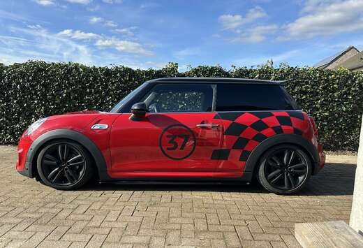 MINI Aut. Seven Chili