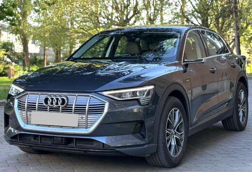 Audi Audi E-tron 55 Quattro  2020/04