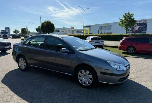 Citroen Enkel voor professionele verkoop.