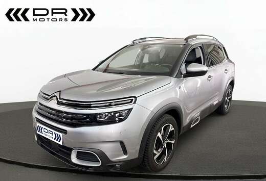 Citroen HYBRID - ADAPTIVE CRUISE - KEYLESS - MASSAGE  ...