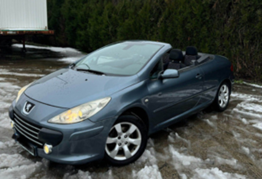 Peugeot 1.6i 16v Oxygo