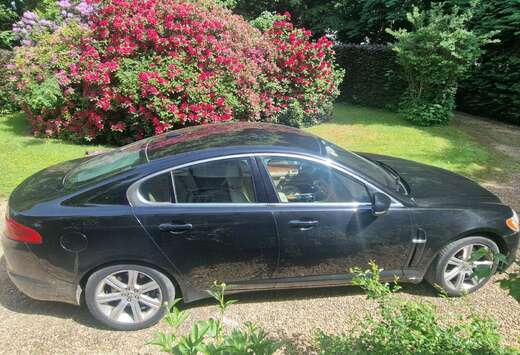Jaguar 3.0 Turbo V6 Luxury \'Speciale Edit.\' DPF