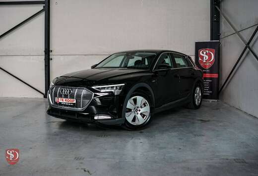 Audi 71 kWh 50 Quattro SOH 99,11%