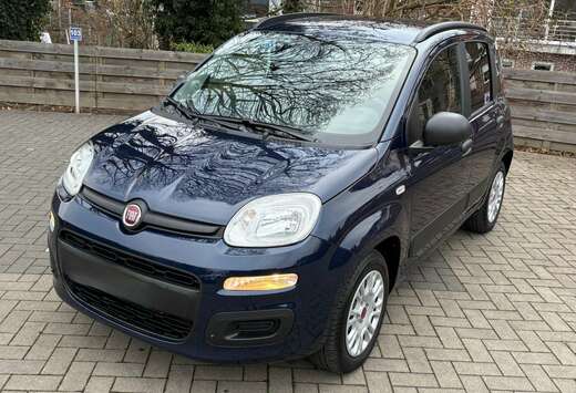 Fiat 1.2i Easy (EU6d-TEMP)