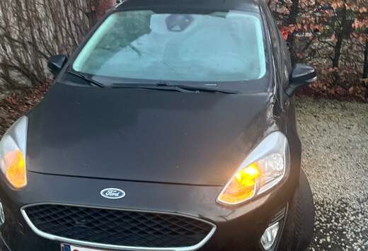 Ford Fiesta Active 1.0 EcoBoost Active 1 (EU6.2)